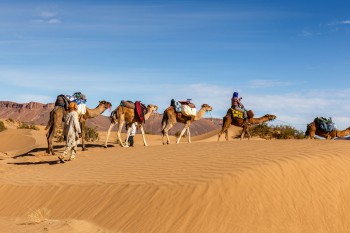 Menjelajah Gurun Sahara dari 5 Penemuan Unik