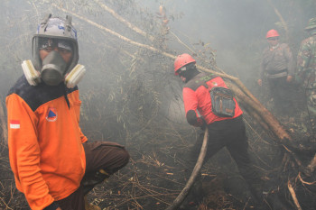 Area Kebakaran Hutan dan Lahan 5 Kali Luas Jakarta