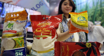 Dulu Golden Rice, Kini Beras Bervitamin ala Bulog