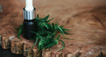 Malaysia Berencana Melegalkan, Ini Dampak Ganja pada Kesehatan