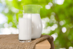 Unik! Perusahaan Rintisan Ini Bikin Susu Tanpa Memerah Sapi