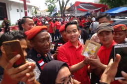 Yang Sama & Beda dari Jokowi dan Gibran saat Awal Maju Pilkada