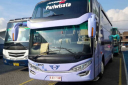 Bus Jepang Vs Bus Eropa, Siapa Jadi Jawara di Indonesia?