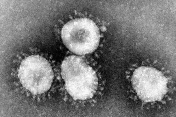 Tak Sama dengan Influenza, Begini Cara Mutasi Virus Corona Menurut Ahli