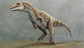 Dinosaurus baru Allosaurus Jimadeni. (Istimewa/Devianart/Gabriel Ugueto)