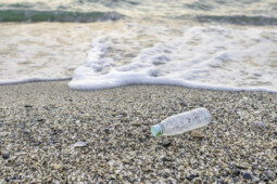 Potensi Rp1,6 Triliun dari Cukai Plastik dan Potret Parahnya Polusi Laut