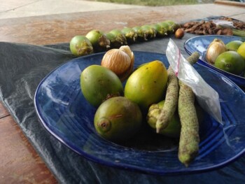 Disebut Berpotensi Sebarkan Corona, Begini Tradisi Makan Sirih Pinang Papua