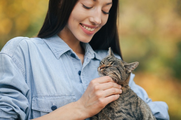 Ada sejumlah penyebab kucing suka pipis sembarangan (ilustrasi Freepik)