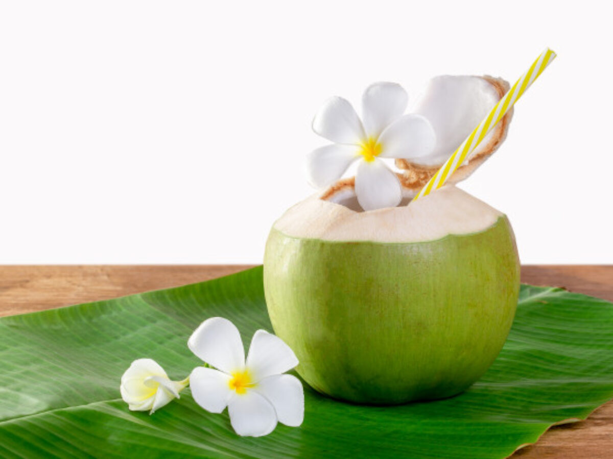 Muda saja penyakit menyembuhkan air apa kelapa dapat 10+ Manfaat