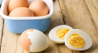 Makanan Mengandung Seng Ini Bisa Dongkrak Imunitas Tubuh