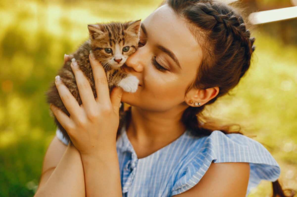 Bulu Kucing Penyebab Penyakit Asma, Mitos atau Fakta?  Real - Jeda.id