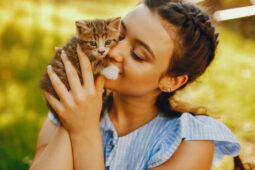 Bulu Kucing Penyebab Penyakit Asma, Mitos atau Fakta?