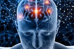 4 Fakta Radang Otak dan Perbedaan Meningitis vs Ensefalitis